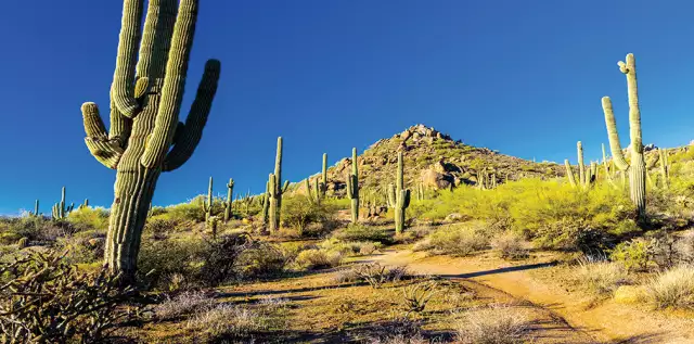 Experience everything Scottsdale has to offer at HousingWire Annual Oct. 3-5