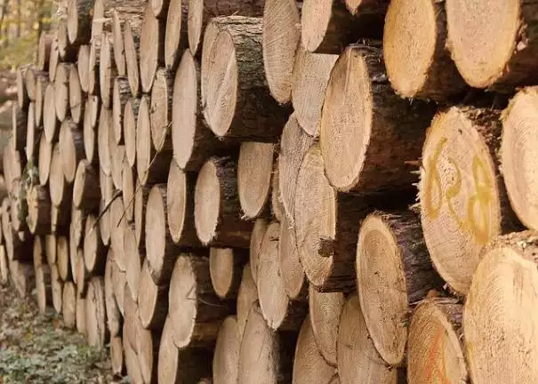 NAHB Chairman Blasts Biden Administration Over Lumber Tariffs