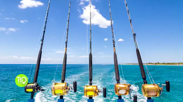 Deep Sea Fishing Near Me: The Best Spots for Big Game Fishing