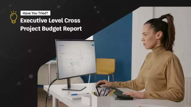 Have You Tried?: Executive Level Cross Project Budget Report in Autodesk Build  - Digital Builder