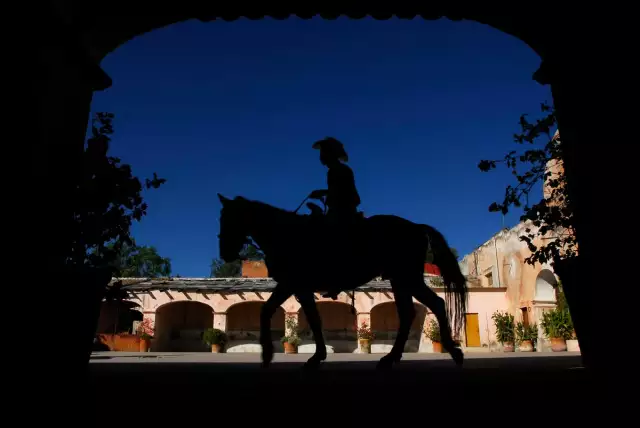 Sprawling Ranch Offers Wine-Making Potential Along Mexico’s Golden Corridor