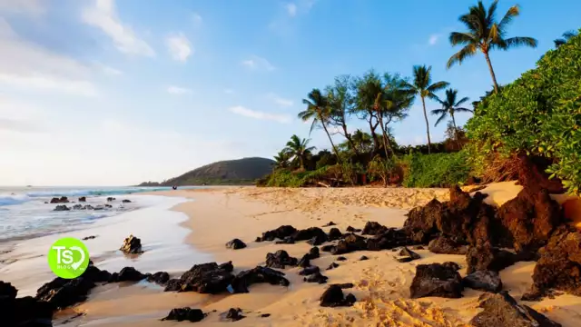 RCI Hawaii Resorts You Need to Exchange for