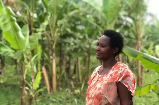 Womenpower in sustainable agriculture of Rwanda - IKEA Foundation