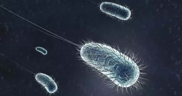 Legionella: The hidden risk - FMJ