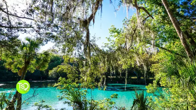 Guide to the 11 Best Things to Do in Silver Springs State Park in Ocala, FL