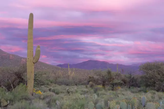 12 Things to Know Before Moving to Tucson, Arizona
