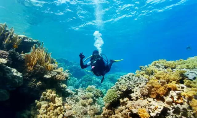 Discover A World Underwater: Scuba & Snorkeling Destinations