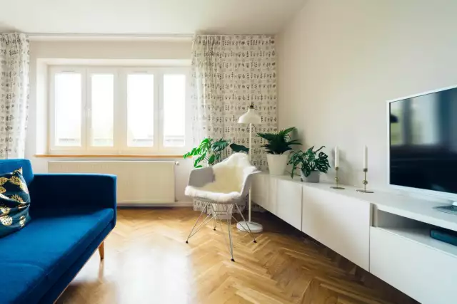 Apartment Must-Haves For First-Time Renters