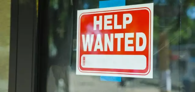 Tech sector layoffs barely dent demand for IT talent