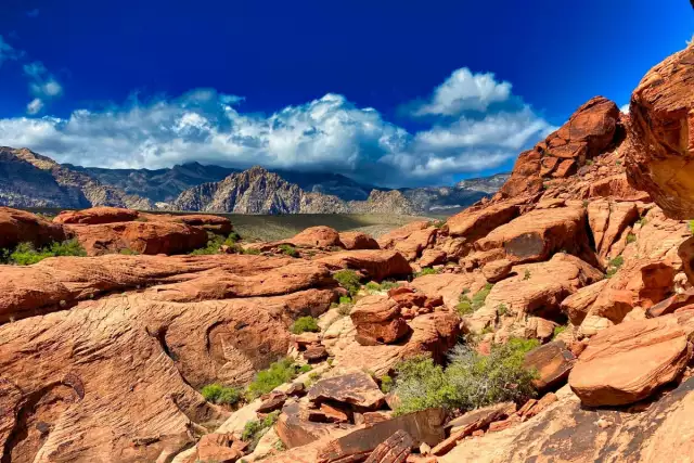Go All-In with These 9 Fun Outdoor Activities in Las Vegas