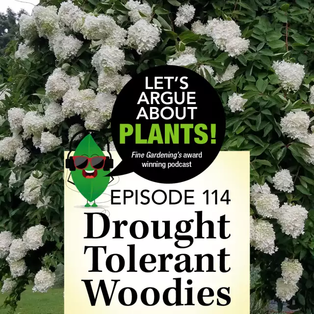 Episode 114: Drought Tolerant Woodies - FineGardening