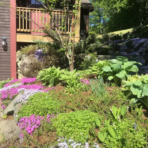 Erin’s New Hampshire Garden - FineGardening