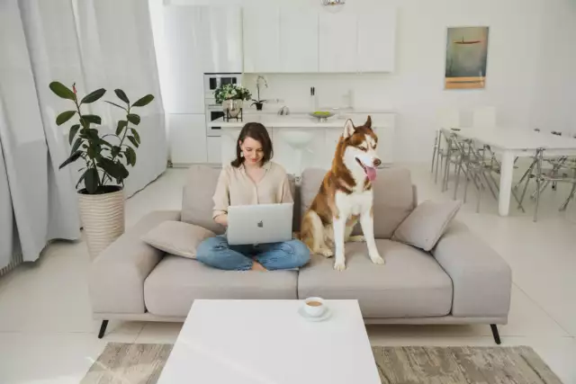 What is Pet Liability Insurance for Renters