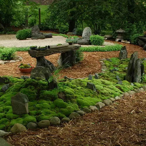 Tips for Creating a Moss Garden - FineGardening
