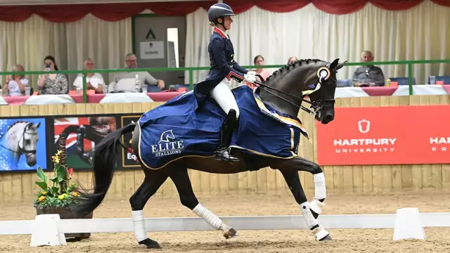 Equestrian sports offer huge rewards for hobbyists and pros alike - Luxury Portfolio International