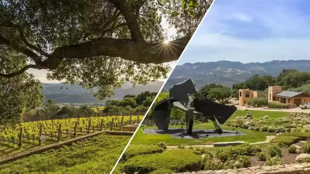 Nirvana in Napa County: $34M Seven Stones Winery Is a Tasty Opportunity