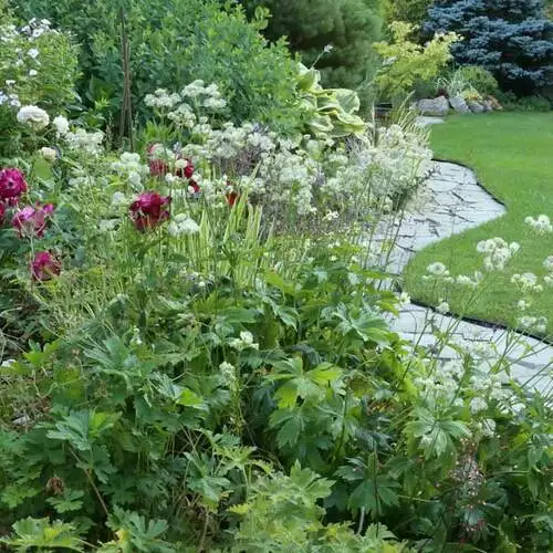 Tour a Collector’s Garden Filled With Artful Plant Combinations - FineGardening