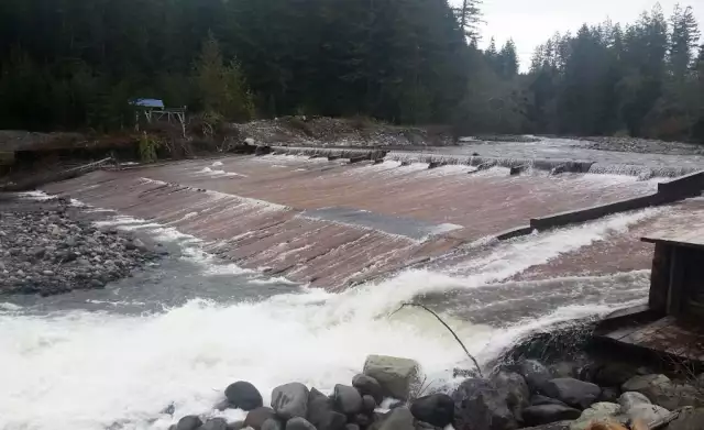 Washington Dam Owner Will Pay $1M for Rehab's River Pollution 