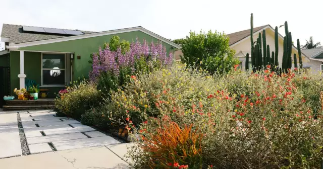 He wanted a 'low-water, colorful, smell-good garden.' But first, the lawn had to go