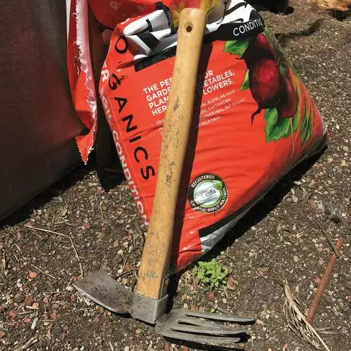 Tools for Tackling the Toughest Weeds - FineGardening