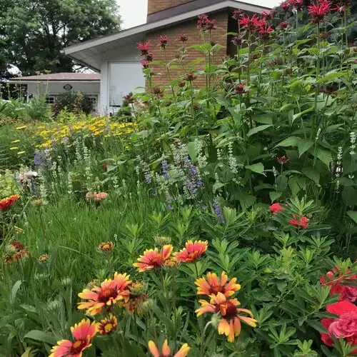Gardening for Birds, Bees, Butterflies, and Beauty - FineGardening