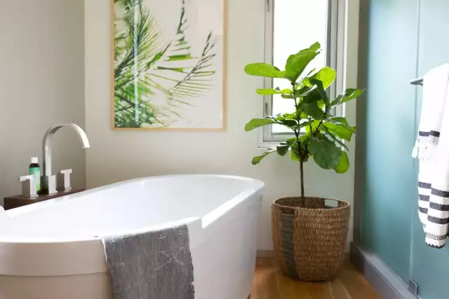 Wellness Features Trend Strongly In New Bathroom Study