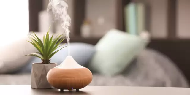 Is a Diffuser a Humidifier? (May 2022)