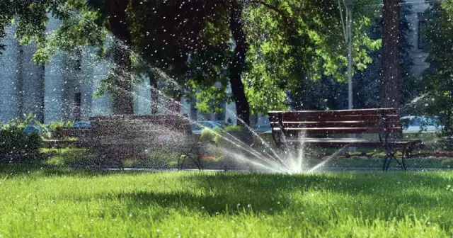 Five Ways To Conserve Water For Landscapes
