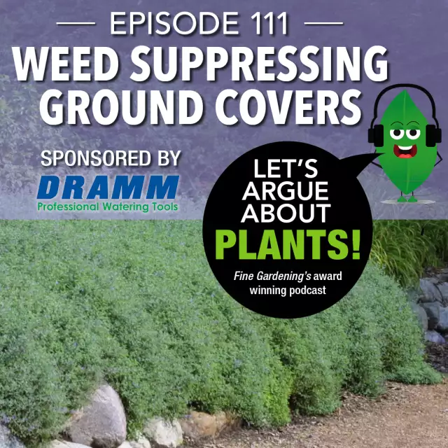 Episode 111: Weed Suppressing Ground Covers - FineGardening