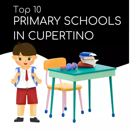 Top 10 Primary Schools in Cupertino for Excellent Education and Enrichment Programs