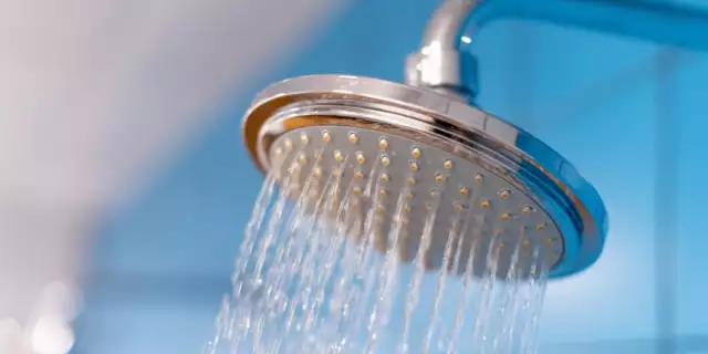 Why Does My Shower Squeal? (May 2022)