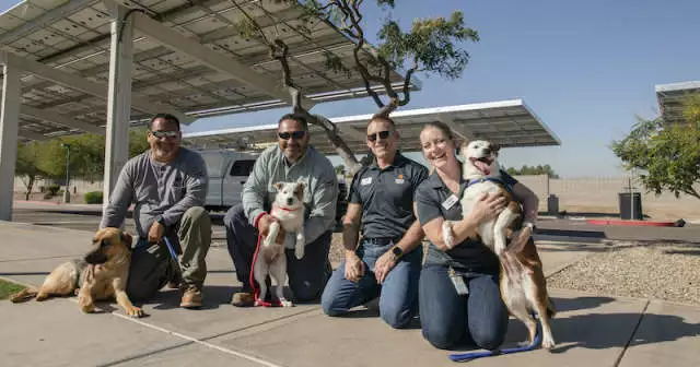 Solar Energy Program Helps Arizona Pets In Need