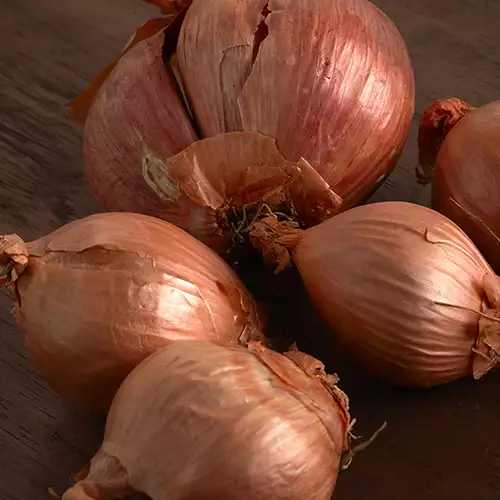 Growing Shallots in the Southern Plains - FineGardening