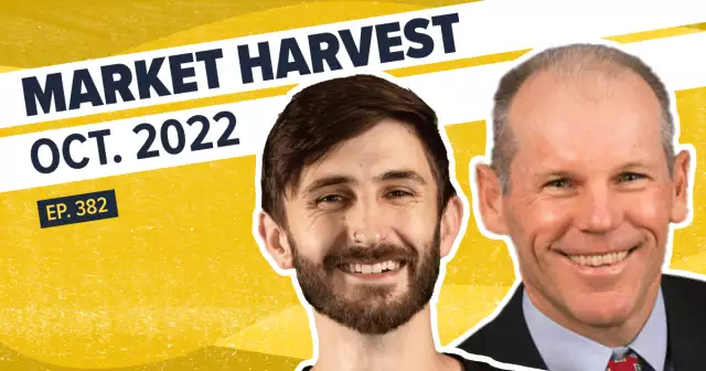 EP 382: The Future of Interest Rates & Inflation Hedges | Market Harvest Oct 2022 | Carrot
