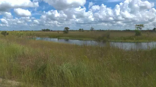 Court Orders Corps to Halt $80M Everglades Job After Bidder's Protest