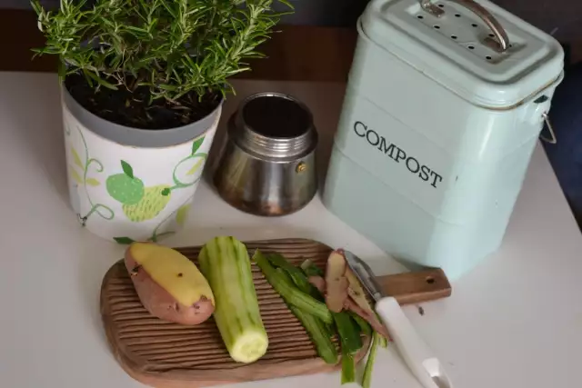 Clean and Green: Here’s How to Compost In an Apartment