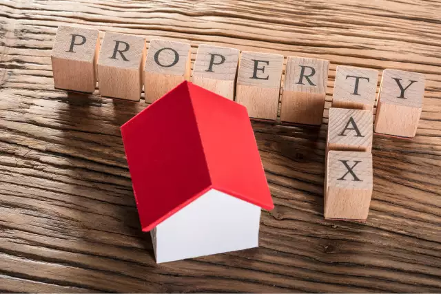 What Makes a DIY Property Tax Appeal So Complex?