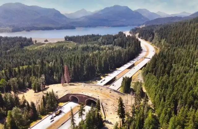 Federal, State Funding Set to Boost Construction of Wildlife Crossings