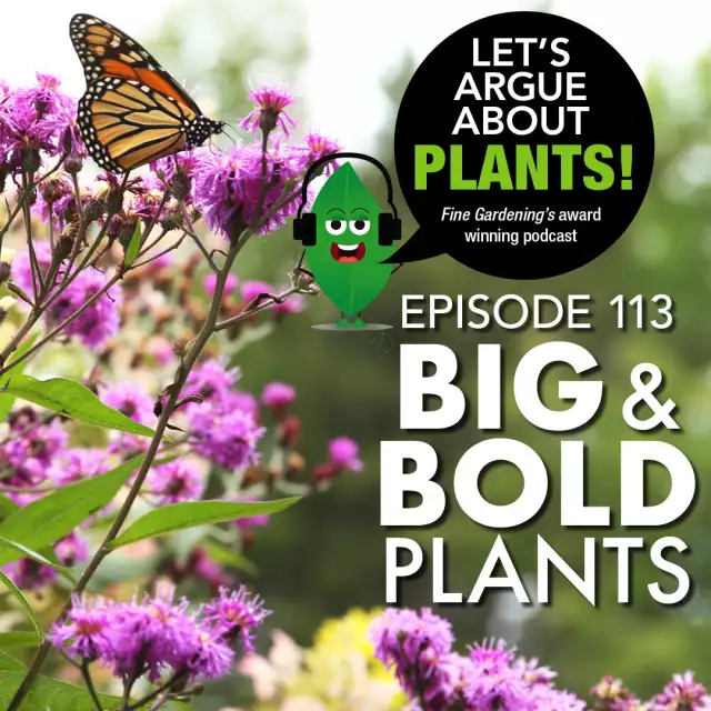 Episode 113: Big and Bold Plants - FineGardening