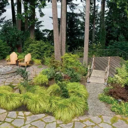 Designing a Garden in the Woods - FineGardening