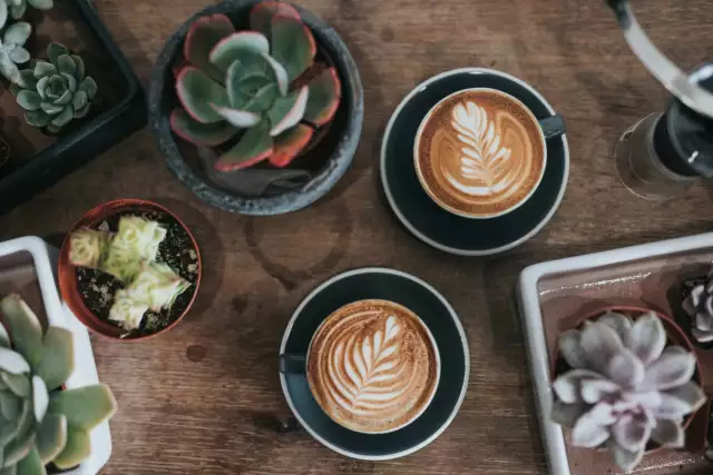 Must-Try Cafes and Coffee Shops in Austin – Plus What to Order When You Visit