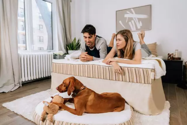The Connection Between Mattresses And Wellness: A Conversation With Essentia Founder Jack Dell’Acc...