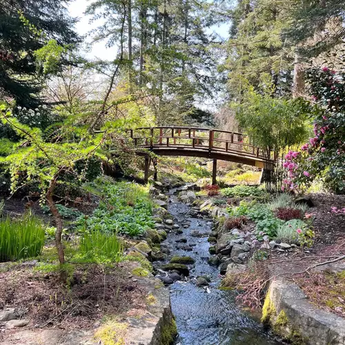 GPOD on the Road: Spring from the Takata Japanese Garden - FineGardening