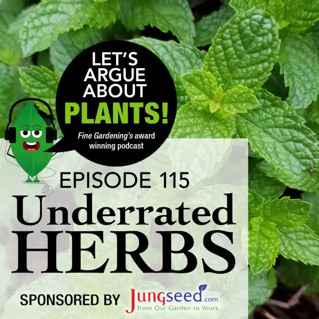 Episode 115: Underrated Herbs - FineGardening