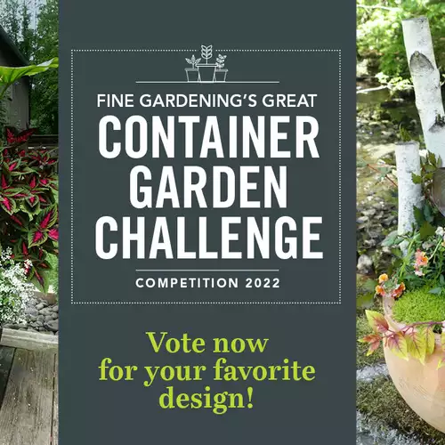 Fine Gardening’s Great Garden-Container Challenge - FineGardening