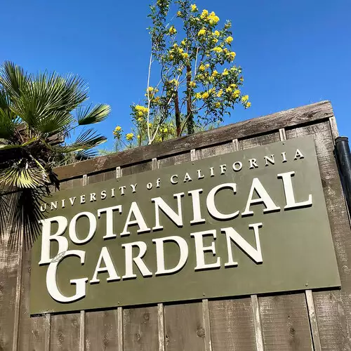 A Summer Tour of the University of California Botanical Gardens - FineGardening