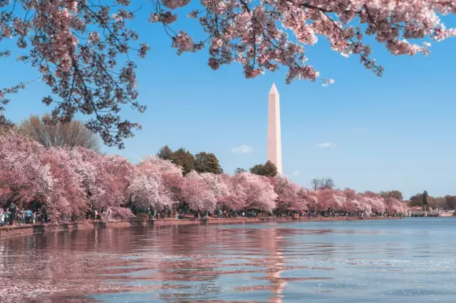 9 Cities Near Washington, DC to Buy or Rent in this Year