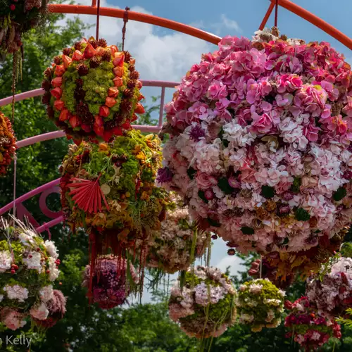 GPOD on the Road: The Philadelphia Flower Show - FineGardening