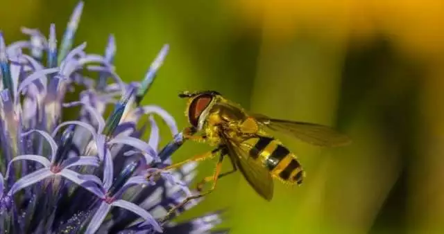 GROWMARK Pollinator Garden Program In 7th Year