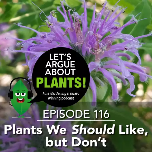 Episode 116: Plants We Should Like, but Don’t - FineGardening